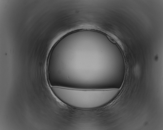 X0000090421343200707130938