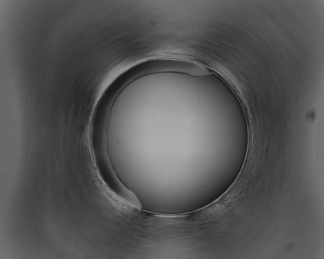X0000090421344200707130938