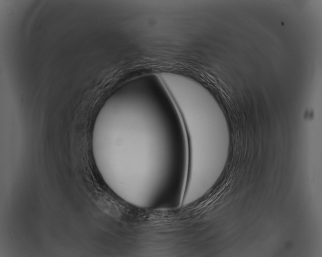 X0000090421345200707130938