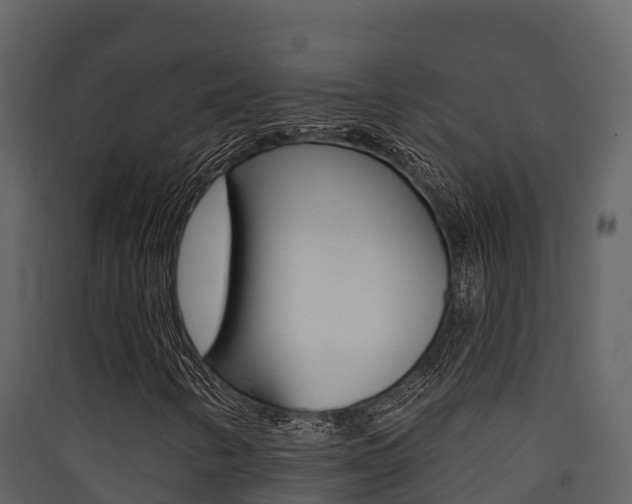 X0000090421346200707130938
