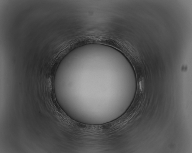 X0000090421347200707130938
