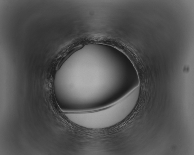 X0000090421349200707130938