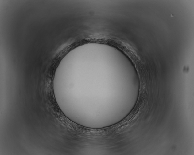 X0000090421350200707130938