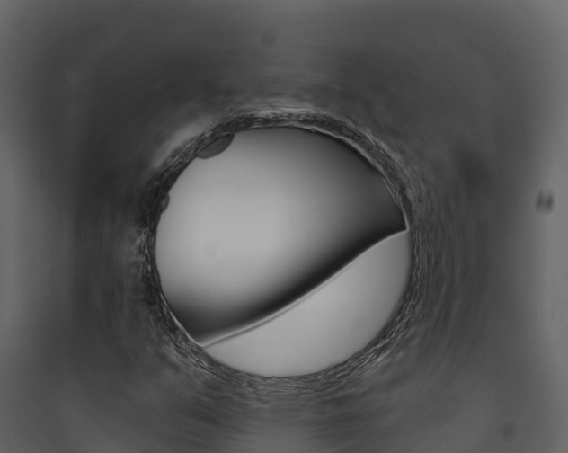 X0000090421351200707130938