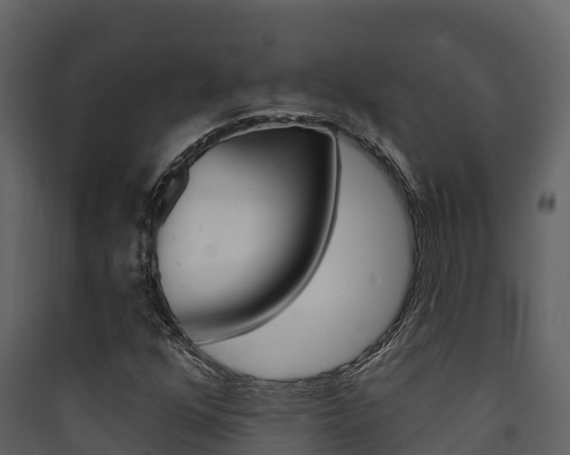 X0000090421352200707130938