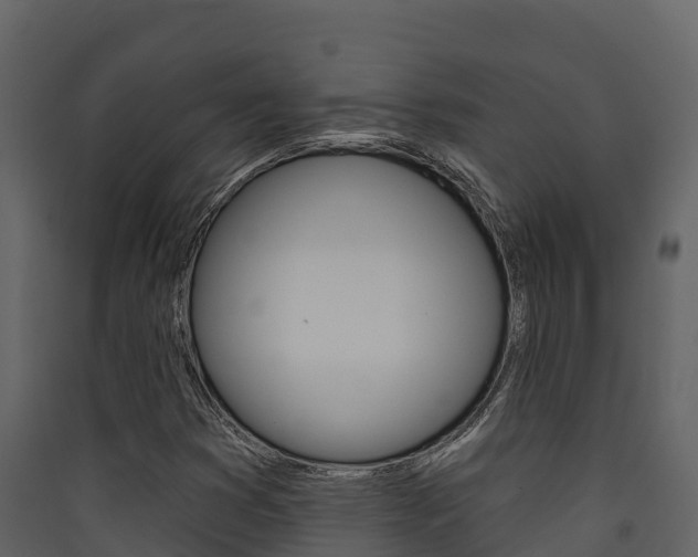 X0000090421353200707130937