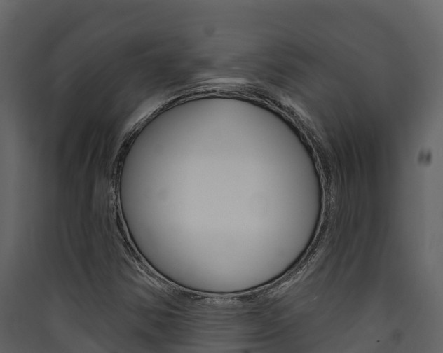 X0000090421354200707130937