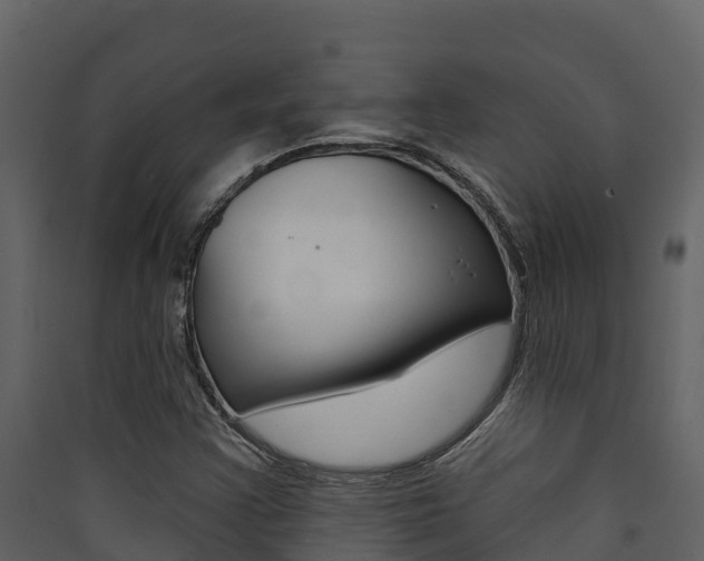 X0000090421355200707130937