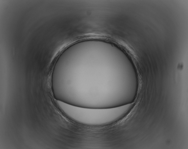 X0000090421357200707130937