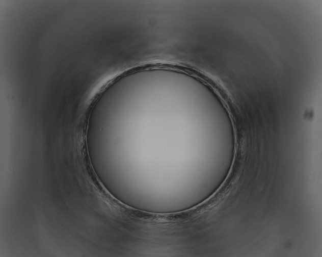 X0000090421359200707130937