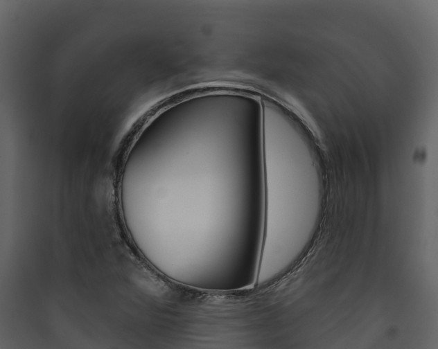 X0000090421360200707130937