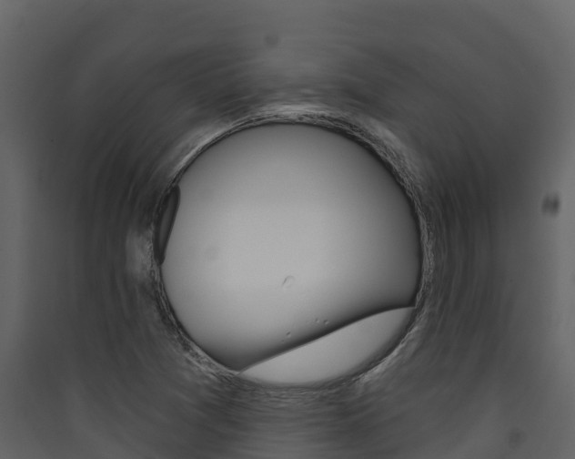 X0000090421361200707130937
