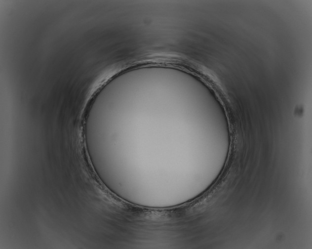 X0000090421362200707130937