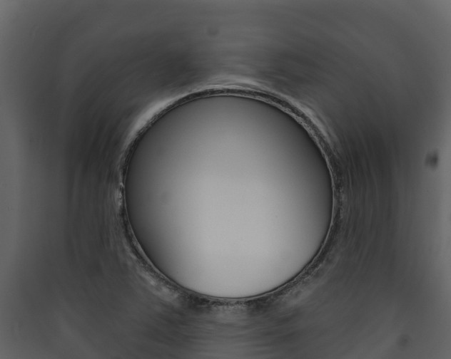 X0000090421363200707130937