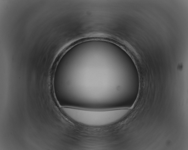 X0000090421364200707130937