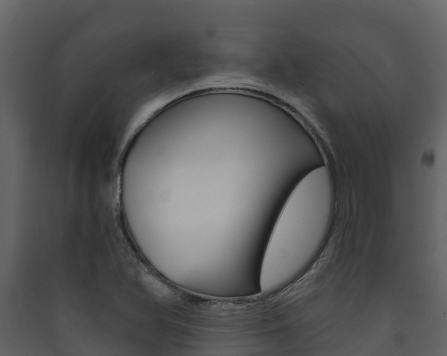X0000090421366200707130937