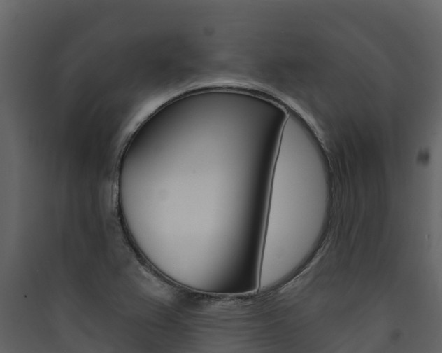 X0000090421367200707130937