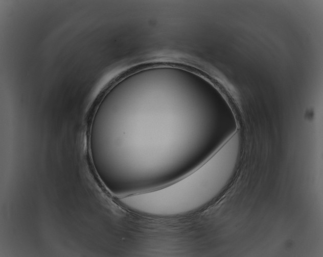 X0000090421368200707130937