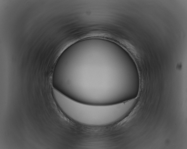 X0000090421369200707130937