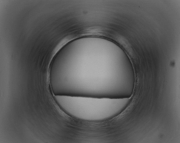 X0000090421370200707130937