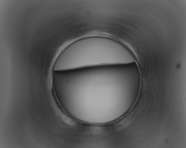 X0000090421371200707130937