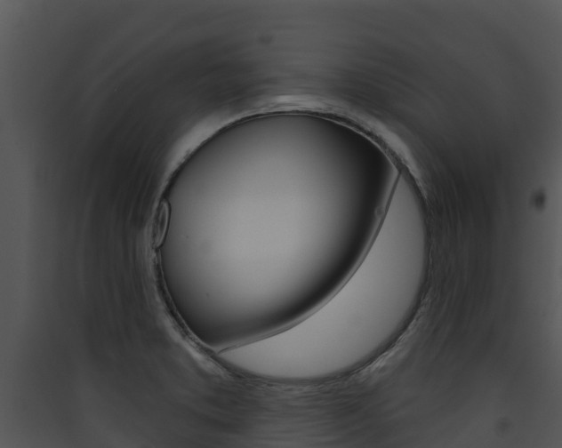 X0000090421373200707130937
