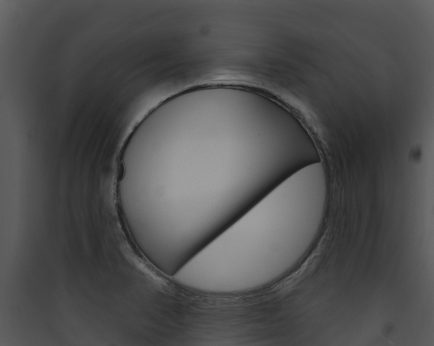 X0000090421374200707130937