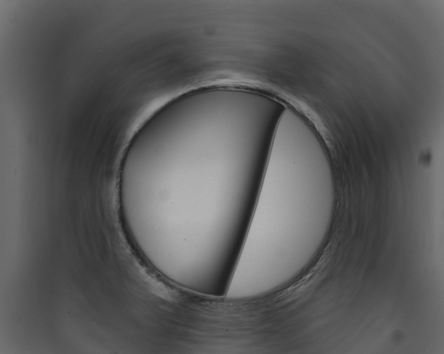 X0000090421375200707130937