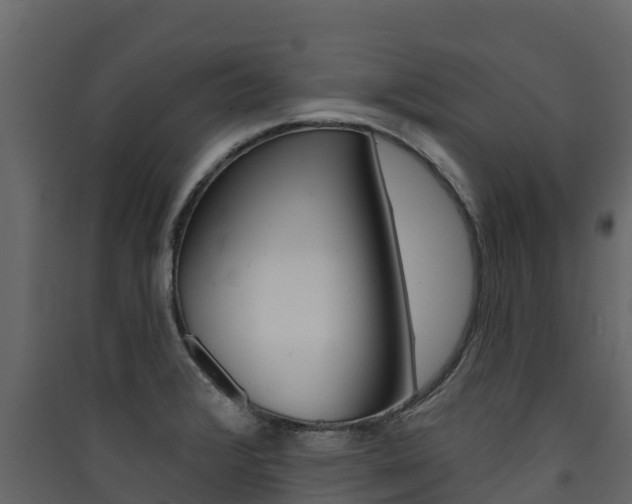 X0000090421376200707130937