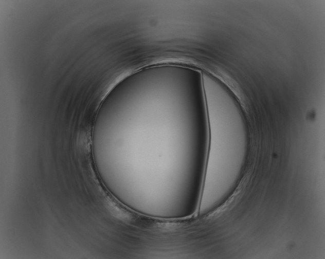 X0000090421377200707130937
