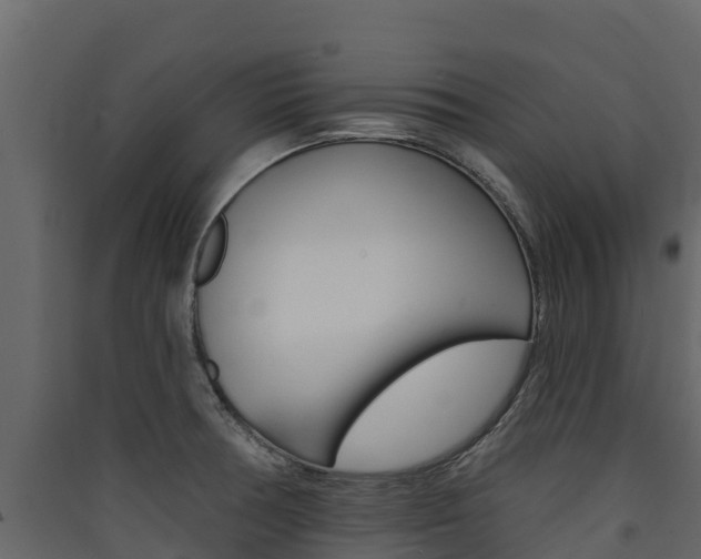 X0000090421378200707130937