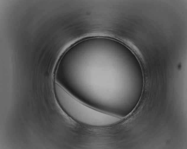 X0000090421380200707130937