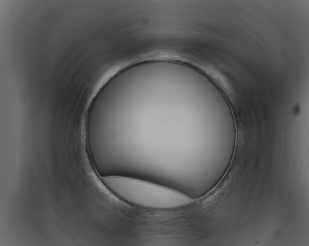 X0000090421382200707130937