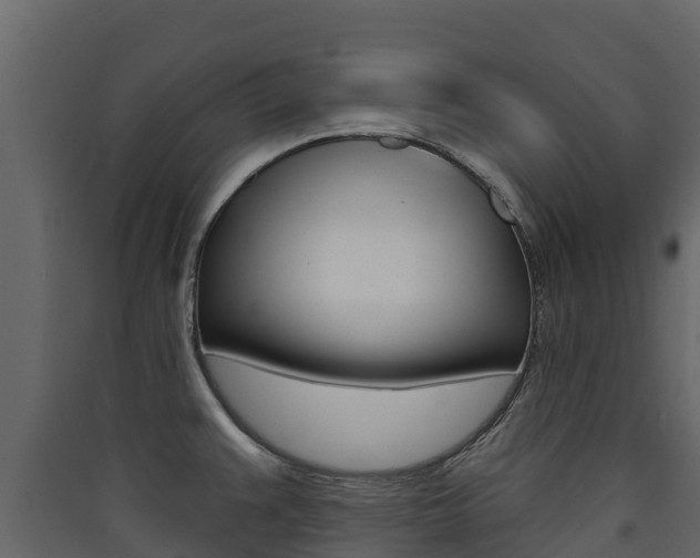 X0000090421383200707130937