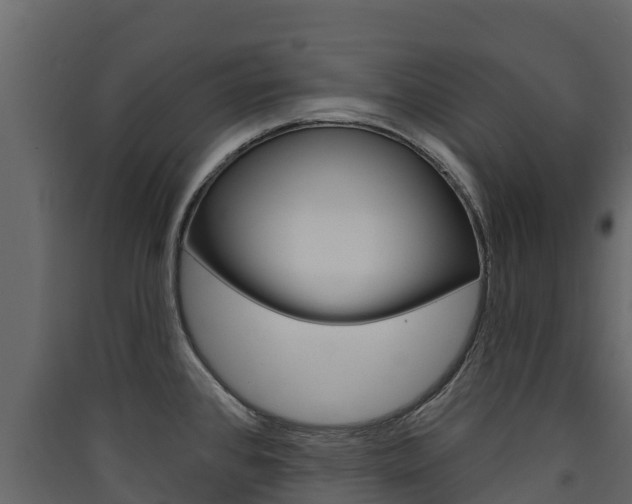 X0000090421384200707130937