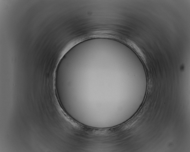 X0000090421386200707130937