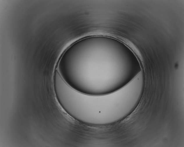 X0000090421388200707130937