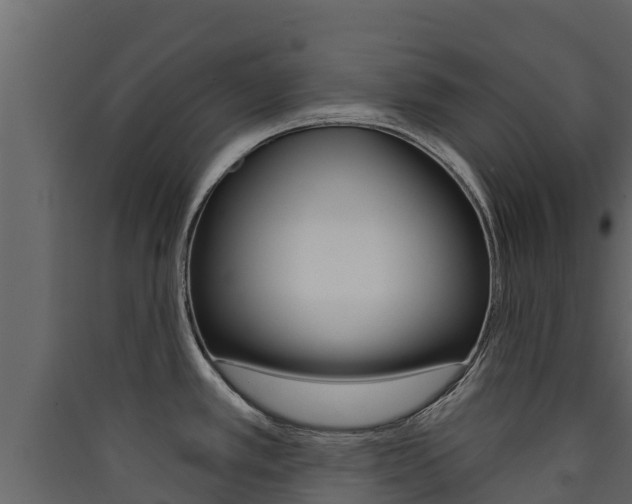 X0000090421389200707130937