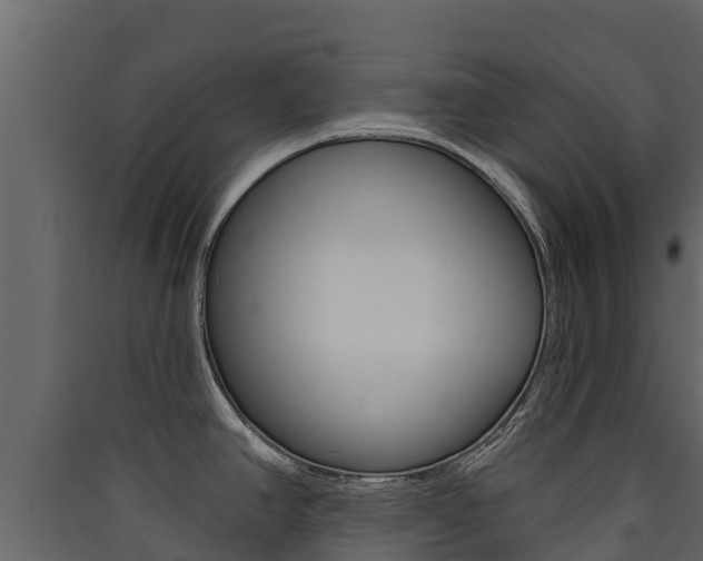 X0000090421390200707130937