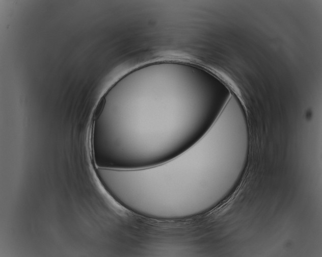 X0000090421391200707130937