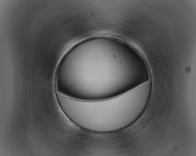 X0000090421392200707130937