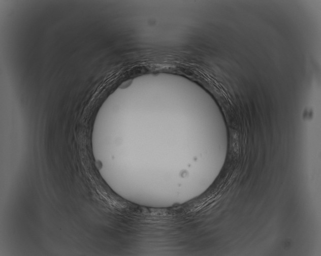 X0000090421393200707130936