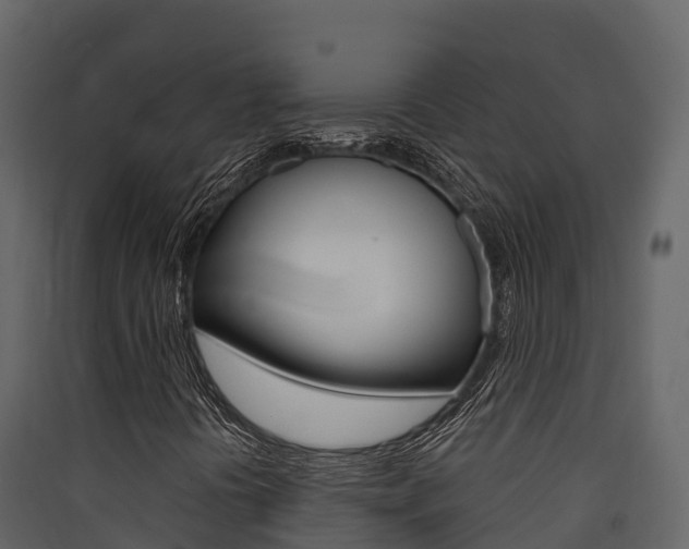 X0000090421394200707130936