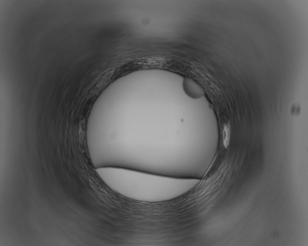 X0000090421395200707130936