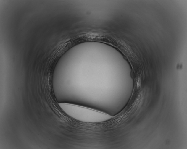 X0000090421396200707130936