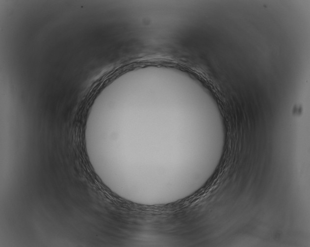 X0000090421398200707130936
