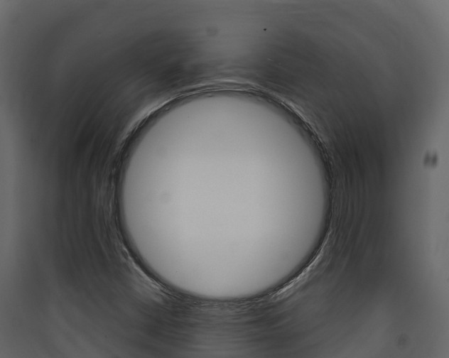 X0000090421402200707130937