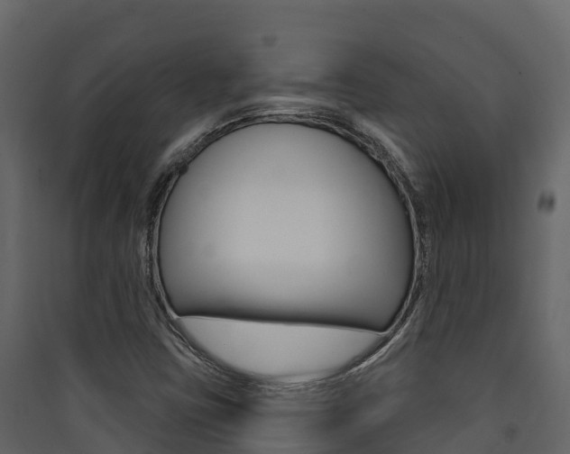 X0000090421403200707130937