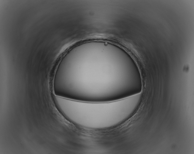 X0000090421404200707130937