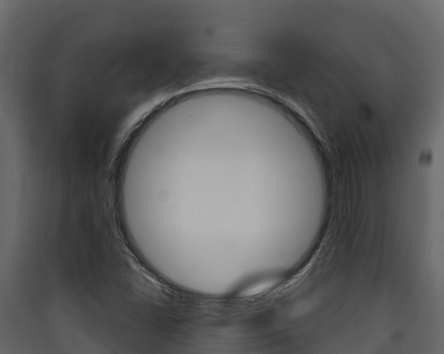 X0000090421406200707130937